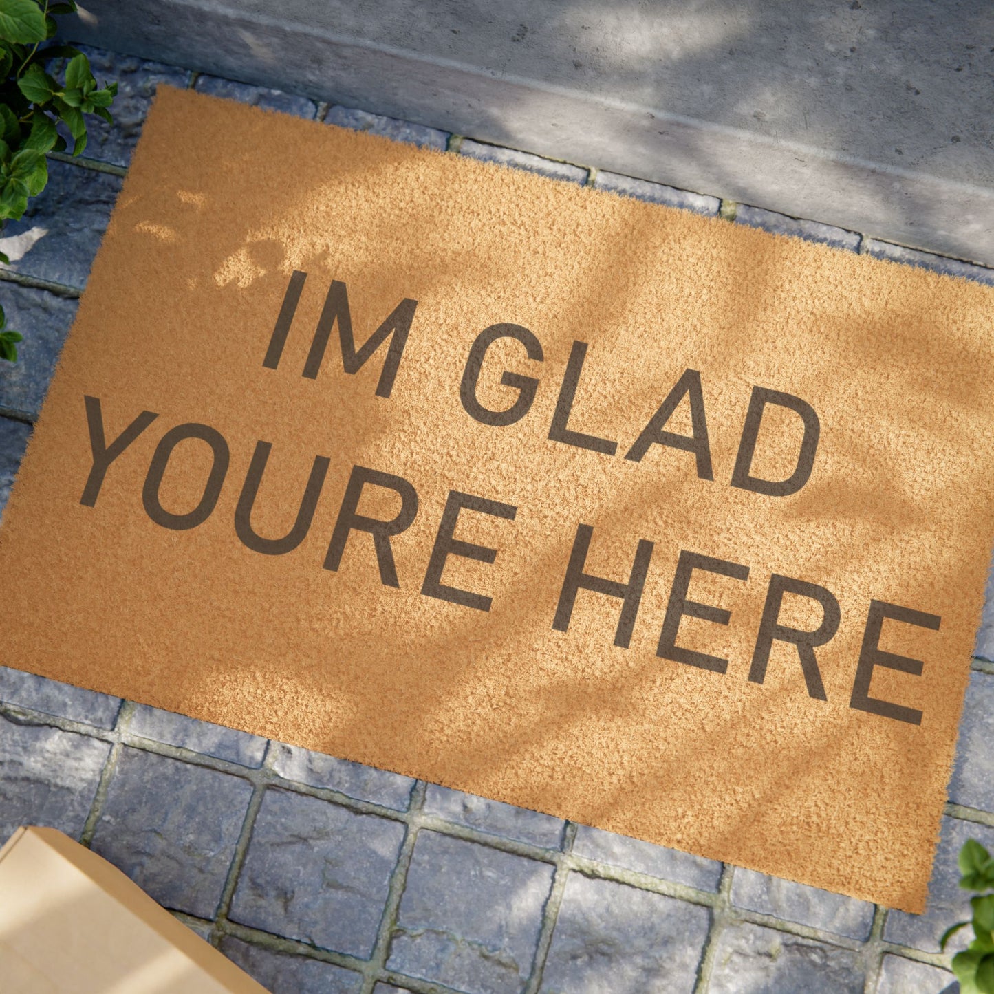 "I'm Glad You're Here" Front Door Welcome Mat